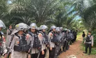 Di Kotim, Polisi Kerahkan Pasukan Jaga Perkebunan untuk Redam Penjarahan Sawit yang Tak Terkendali  
