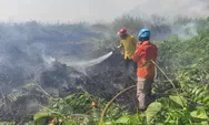 Di Bontang, Ada 8 Titik Kebakaran Lahan Selama Libur Lebaran