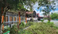 Pohon di Universitas Tanjungpura Ditebang, Dosen Menyayangkan