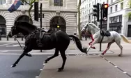 5 Kuda Militer Melarikan Diri, Melukai Sedikitnya Empat Orang di Dekat Istana Buckingham