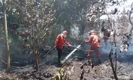 Tercatat Sudah 46 Kasus Kebakaran Lahan di Bontang