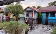 Waspada! BPBD Sebut Banjir Terjang Sejumlah Titik di Kota Sampit 