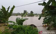 14 Warga Meninggal Akibat Banjir 3 Meter di Kabupaten Luwu