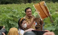 Kucuran Investasi Asing Hujani Kota Banjarbaru, Baru Awal Tahun Sudah Capai Target 75,78 Persen