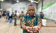 Harga Kakao Berau Semakin “Manis”,  Disbun Diminta Intens Dampingi Petani                   