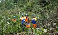 84 Jam di Tengah Hutan, Pejuang Kelistrikan PLN Amankan Transmisi Saat Idulfitri 1446 H