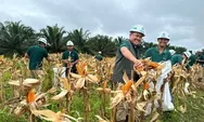 Jagung Tumbuh di Antara Sawit, Dua Anak Usaha Astra Agro di Kaltim Dukung Kemandirian Pangan