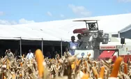 Momen Prabowo Turun ke Sawah Operasikan Corn Harvester di Tengah Panen Raya Jagung