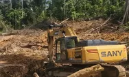 Diduga Pertambangan Ilegal Terungkap di Area Konsesi Berau Coal, Tiga Alat Berat Diamankan