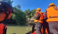 Hari Ketiga, Tim SAR Lanjutkan Pencarian Pemancing Diterkam Buaya di Sungai Kariangau, Balikpapan