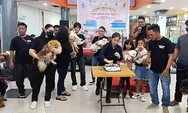 Kampanye Fun Dogs Jayapura: Anjing Bukan Untuk Dikonsumsi!