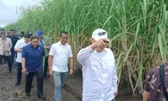Bahlil Lahadalia:  Investasi Tebu Diarahkan untuk Gula dan Etanol di Merauke Papua Selatan