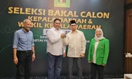 PPP Nilai Paulus Waterpauw Layak Terima Rekomendasi, Hilman: Ini Jenderal Pulang Kampung