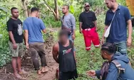 Pelaku Curas yang Meresahkan Merauke Berhasil Dibekuk