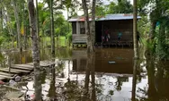 Banjir Kepung Distrik Wania di Mimika Papua Tengah: Akibat Curah Hujan Tinggi