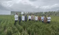 Sejumlah Menteri Kunker Hanya Transit di Merauke, Ada Apa Ilwayab?