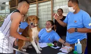 Hari Rabies Sedunia: Kolaborasi Dog Lovers Papua dan WijayaVet Berantas Penyakit Rabies
