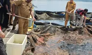  Kerja Sama dengan Unhas Berhasil, Wali Kota Tertarik Kembangkan Budidaya Ikan dan Lobster