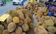 Durian Asal Padang Sumatera Barat Diburu Pecinta Durian di Sukabumi