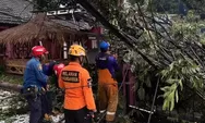 Sejumlah Bangunan Ambruk, Pohon Tumbang dan Tanah Longsor Akibat Hujan Deras dan Angin Kencang di Bogor