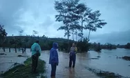 Banjir Rendam 50 HA Areal Pertanian di Jampangtengah Sukabumi