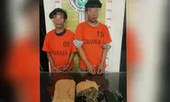 Polres Tapsel Tangkap 2 Pria Atas Kepemilikan 1,5 Kg Ganja Siap Edar