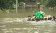 Viral Keranda Jenazah Terjang Banjir di Grobogan