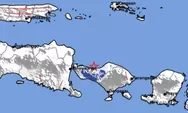 Gempabumi Seririt Bali Gempa Dangkal Akibat Sesar Aktif 