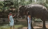 Pengalaman Tak Terlupakan, Yuk Jelajahi Dunia Satwa di Lombok Wildlife Park