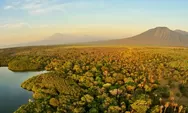 Afrika Van Java, Petualangan Seru Savana di Taman Nasional Baluran