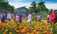 Cari Destinasi Wisata Keluarga di Purwakarta, Urban Farming Pilihan Tepatnya!