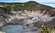Selain Berfoto, Ini 3 Aktivitas Seru Berlibur di Tangkuban Perahu