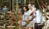 Bird Pavilion, Wisata Edukasi dan Rekreasi yang Menyenangkan di Lembang