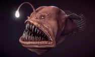 Disebut Monster Laut Hitam, Yuk Kenali Ikan Anglerfish Bungkuk yang Muncul ke Permukaan