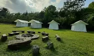 Pine Forest Camp Lembang: Pengalaman Berkemah Eksklusif di Tengah Keindahan Alam