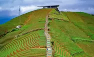 Keindahan Terasering Panyaweuyan, Mengintip Hamparan Hijau Mirip Ubud di Majalengka