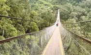Rengganis Suspension Bridge, Rasakan Sensasi Berjalan di Atas Awan