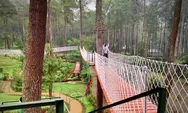Kebon Pines Lembang, Pesona Alam Asri di Kaki Gunung Tangkuban Parahu