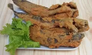 Masak Mudah Hari Ini: Bikin Lele Goreng Kremes Super Renyah dan Lezat