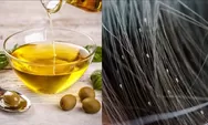Ampuh dan Aman! Ini 5 Metode Alami Cara Menghilangkan Kutu Rambut