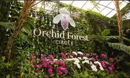 Orchid Forest Cikole: Destinasi Wisata Alam Memukau di Lembang Bandung