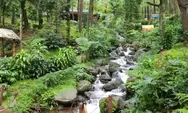 Menilik Wisata Curug Ciburial, Permata Tersembunyi di Pedalaman Hutan Bogor