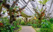 Jelajah Pesona Kebun Raya Bogor, Ini 7 Spot Wajib yang Tak Boleh Dilewatkan!