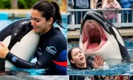 Viral Jessica Radcliffe Pelatih Orca Dimakan Paus, Cek Faktanya di Sini
