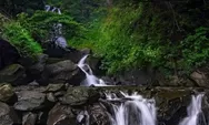 Curug Ciherang, Air Terjun yang Punya Rumah Pohon dan Jembatan Gantung