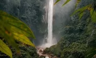 Curug Seribu Bogor: Pesona Alam, Harga Tiket, dan Cara Menikmatinya