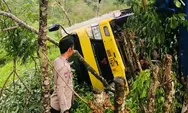 Truk Box PT Wings Terbalik di Perkebunan Teh Cigaru Sukabumi, Ini Penyebabnya