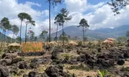Bukit Tegal Malaka: Surga Alam dengan Panorama Savana di Garut