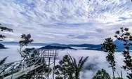 Puncak Bangku Ciamis: Wisata Alam "Negeri di Atas Awan" yang Instagramable