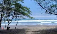 Pantai Cemara Cidaun: Perpaduan Hutan Cemara dan Laut yang Menenangkan